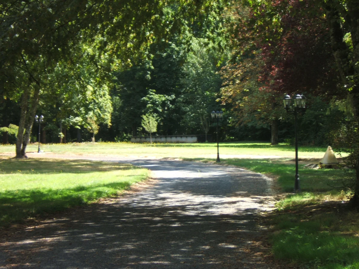 Les Patineaux - Accueil