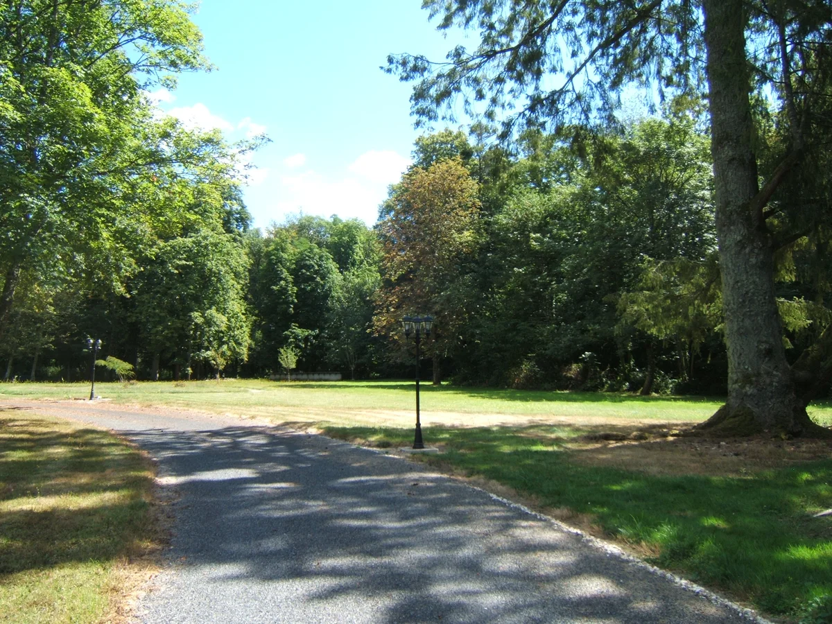 Les Patineaux - Accueil