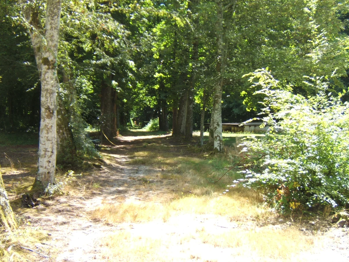 Les Patineaux - Accueil