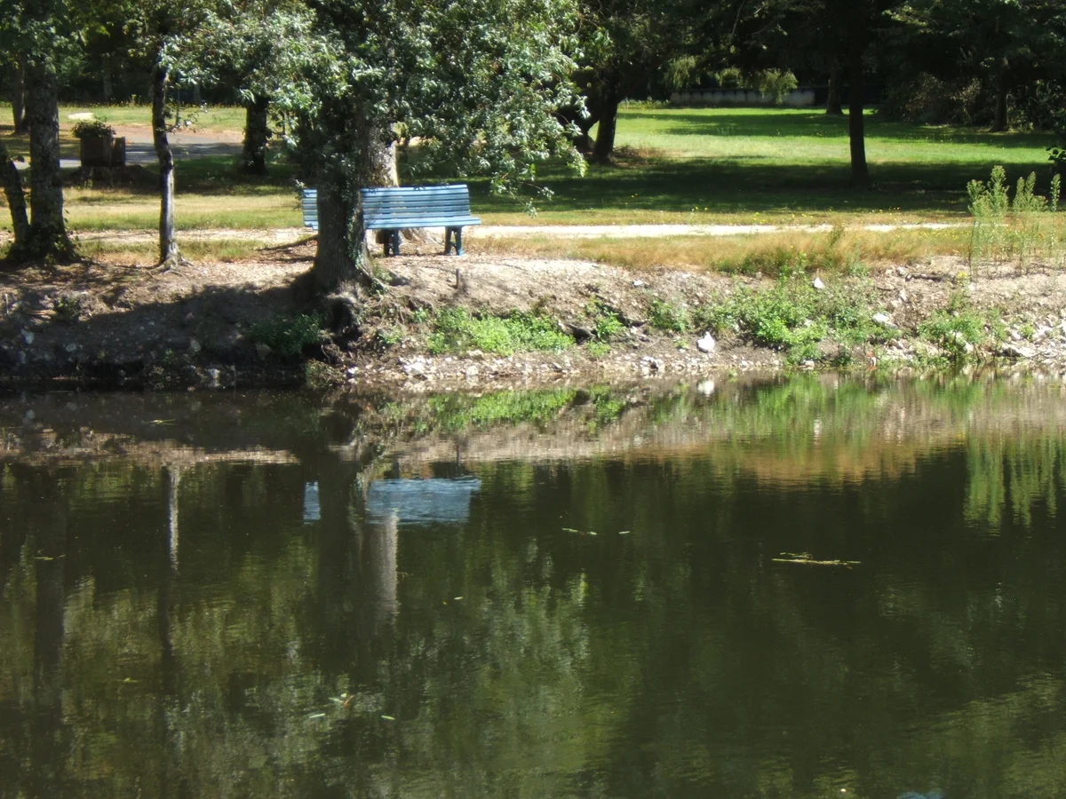Les Patineaux - Accueil