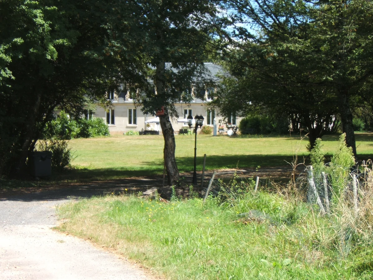 Les Patineaux - Accueil